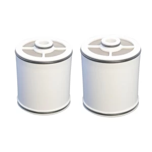 Cartucho ultra shower y microjet pared 2 Unidades